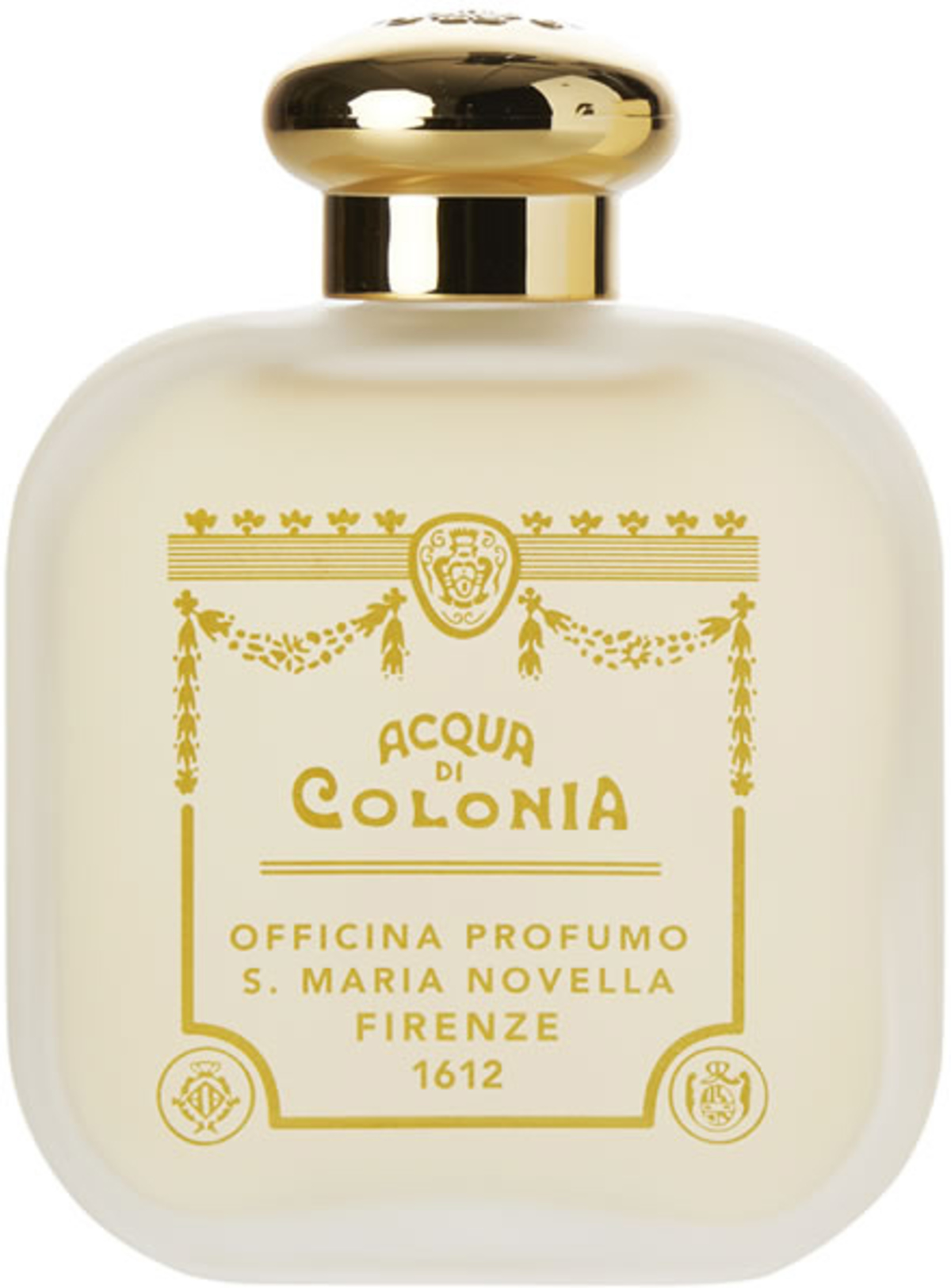 Rosa (Santa Maria Novella)