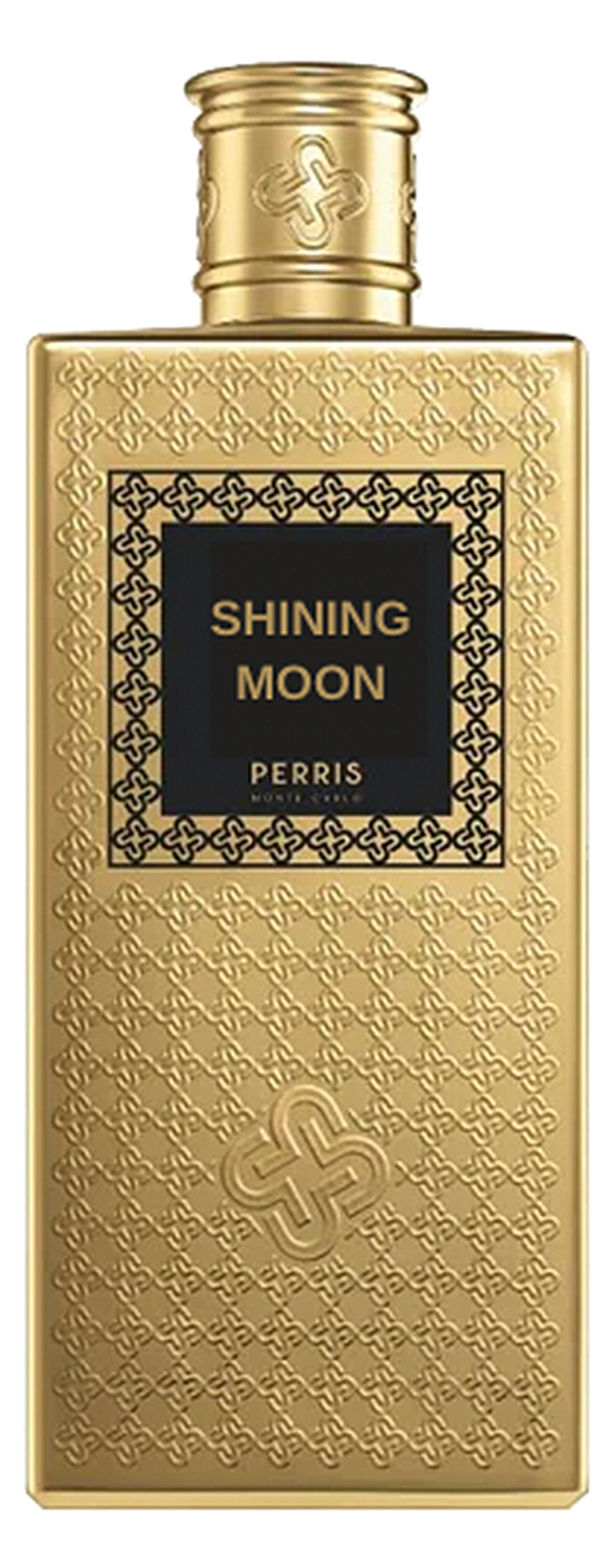 Shining Moon