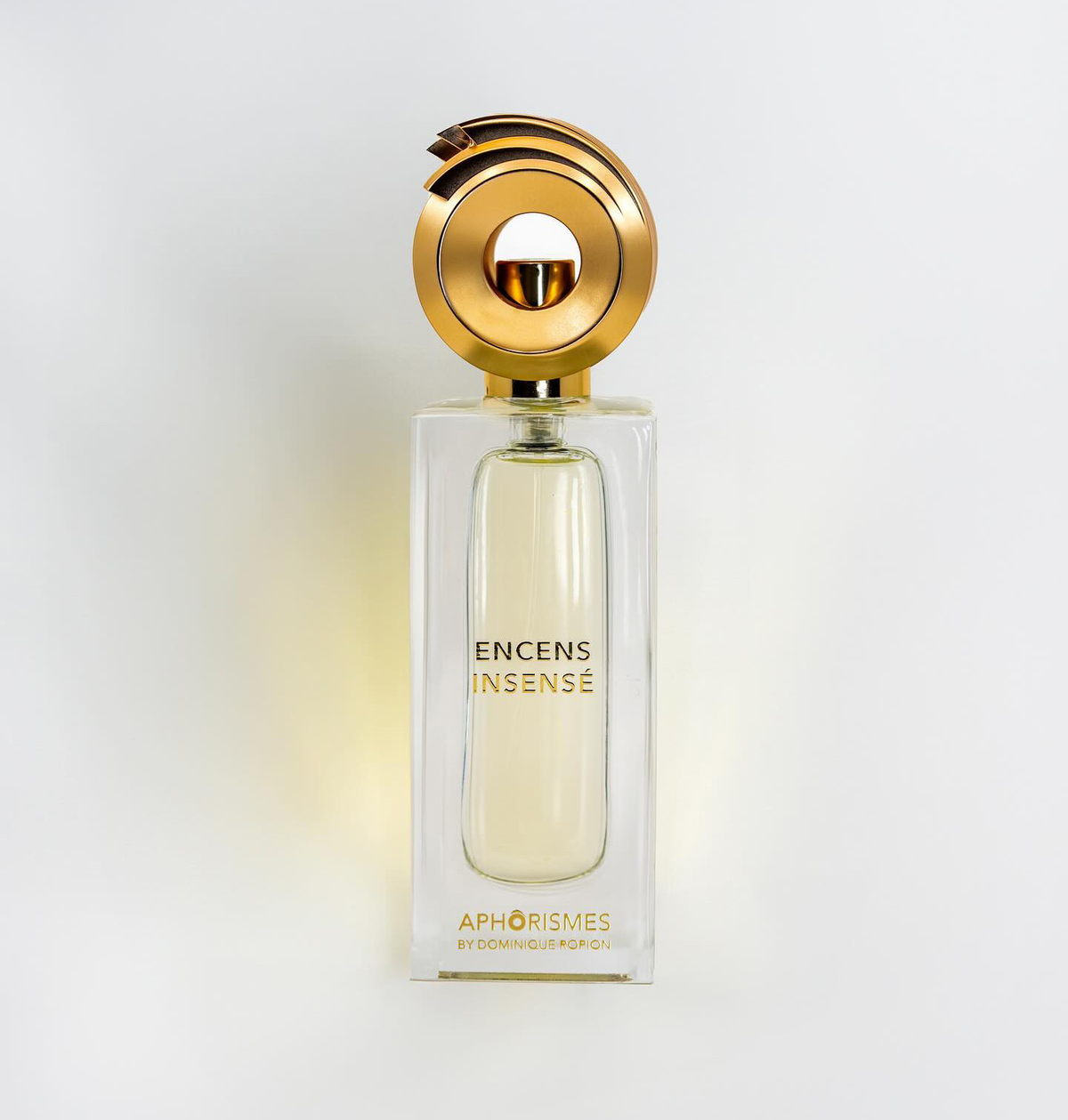 Encens Incensé - Aphorismes by Dominique Ropion