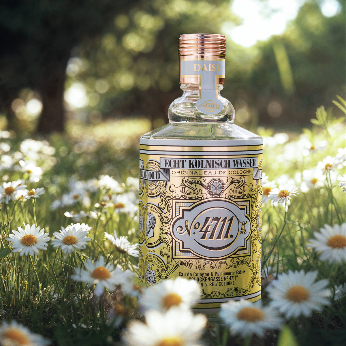 Geisel Cologne Daisies Meet Cologne Freshness: