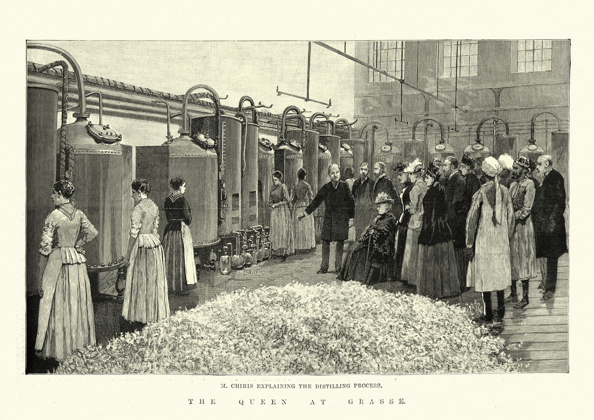 Queen Victoria demonstrating the distillation process at Chiri's perfume factory in Grasse, 1890s, 19th century
