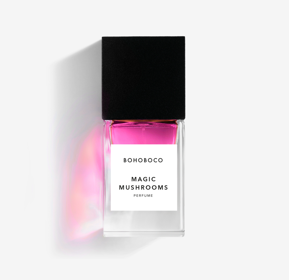 Magic Mushrooms - Bohoboco