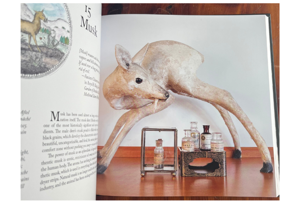 A rare glimpse into the history of musk - one of perfumery’s most legendary and controversial ingredients
