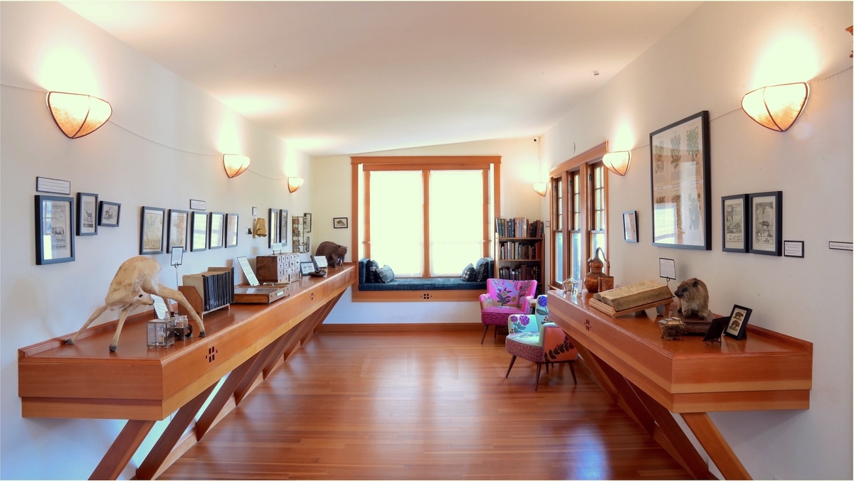 Interior of the Aftel Archive
