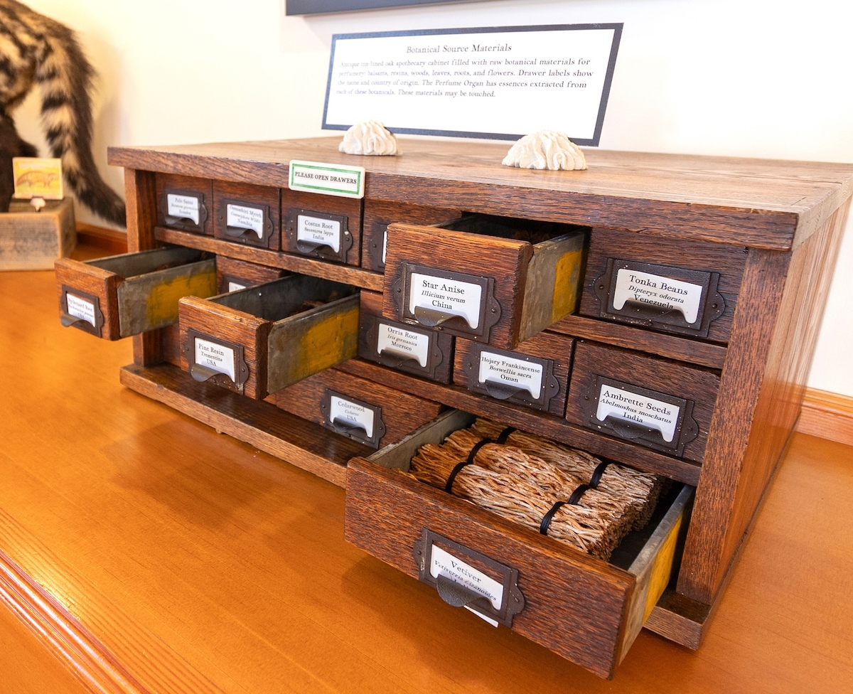 A tactile journey into the raw origins of scent