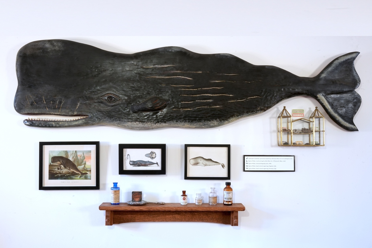 Ambergris — one of perfumery’s most legendary and mysterious materials